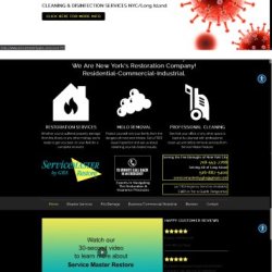 Backend Development for Scalable Applications | Web Design Services (917) 651-8495 picture
