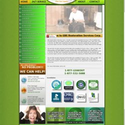 Web Design that Captivates and Converts | Web Design Services (917) 651-8495 picture