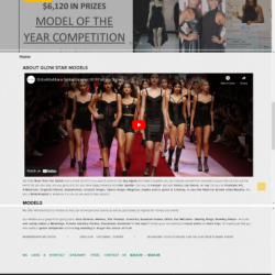 Customizable Web Templates for Every Need | Web Design Services (917) 651-8495 picture