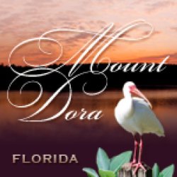 Mount Dora Arts Festival picture