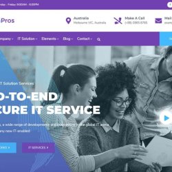 Fast and Secure Website Development | Web Design Services (917) 651-8495 picture