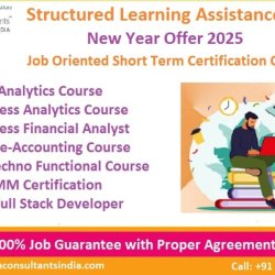 Accounting Course in Delhi, 110007, Top Google Rated [100% Job] SLA Consultants India, Free SAP Finance FICO Training Certification, "Republic Day Offer 2025" picture