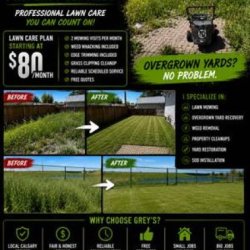 Greys Landscaping picture